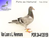 POR 24-4135159